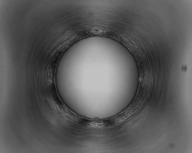 X0000098080606200804251515