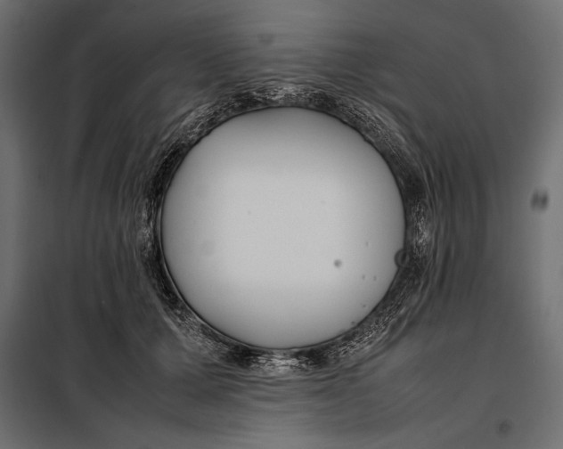 X0000098080607200804251515