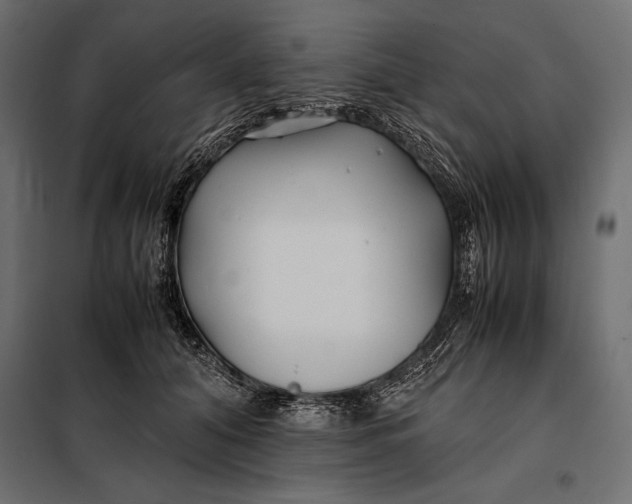 X0000098080608200804251515