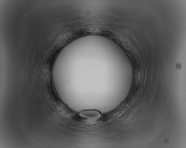 X0000098080609200804251515