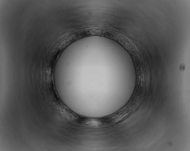 X0000098080610200804251515