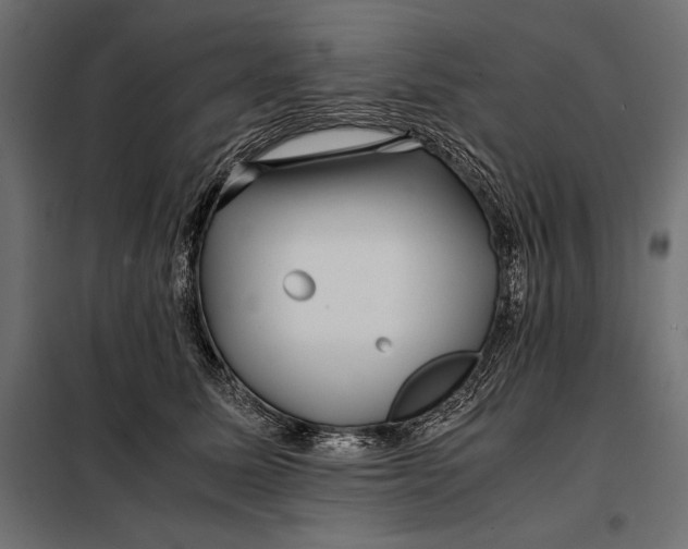 X0000098080611200804251515