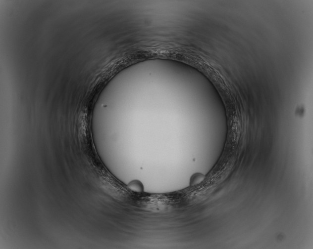 X0000098080612200804251515