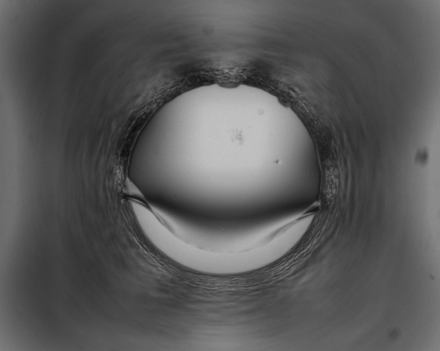 X0000098080613200804251515