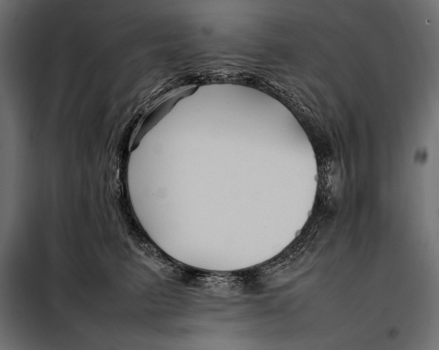 X0000098080615200804251515