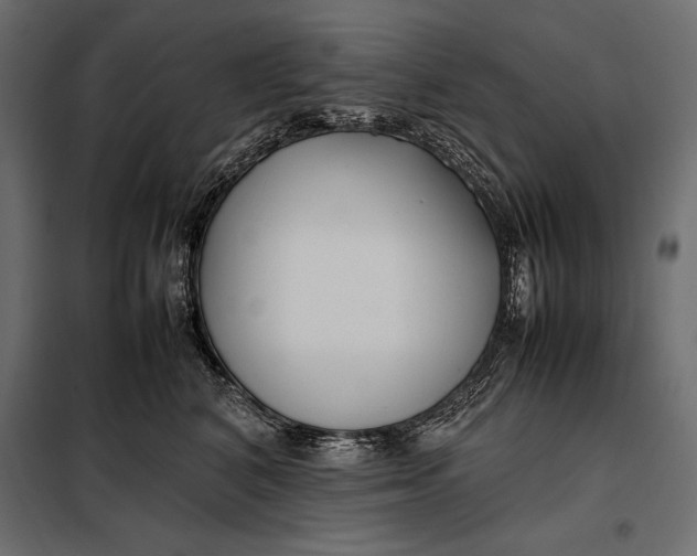 X0000098080616200804251515