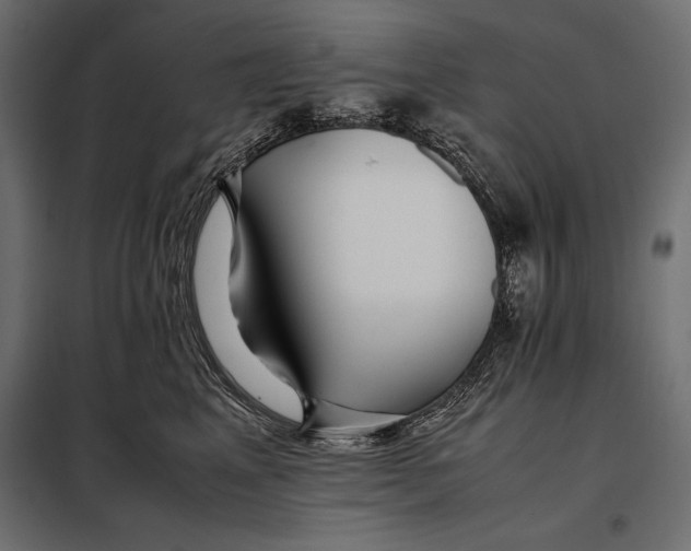 X0000098080617200804251515