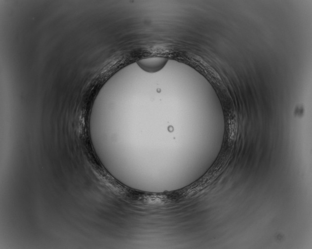 X0000098080618200804251515