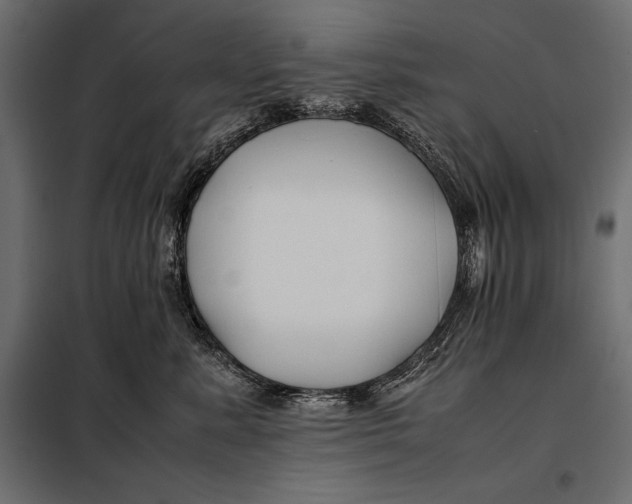 X0000098080619200804251515