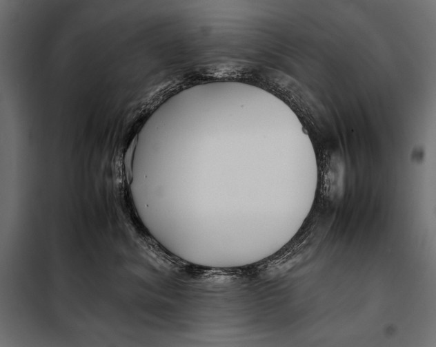 X0000098080620200804251515