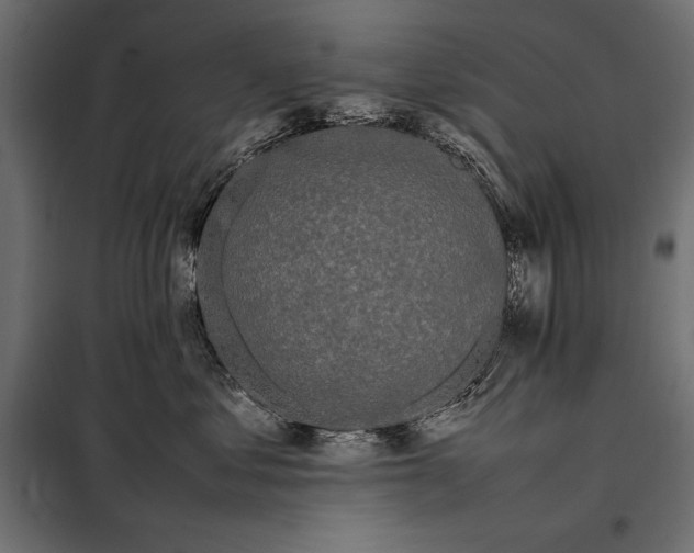 X0000098080621200804251515