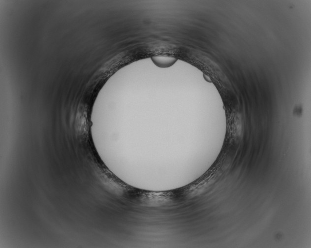 X0000098080622200804251514