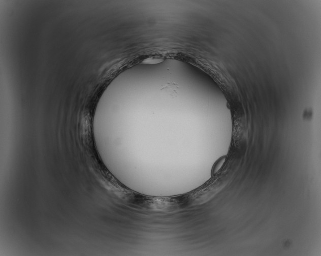 X0000098080623200804251514