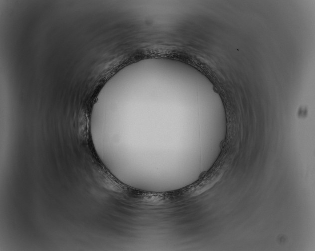 X0000098080624200804251514