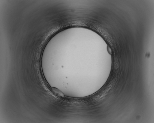 X0000098080625200804251514