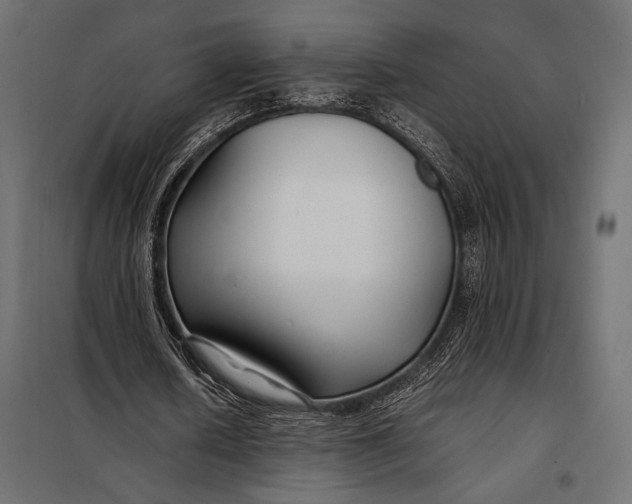 X0000098080626200804251514