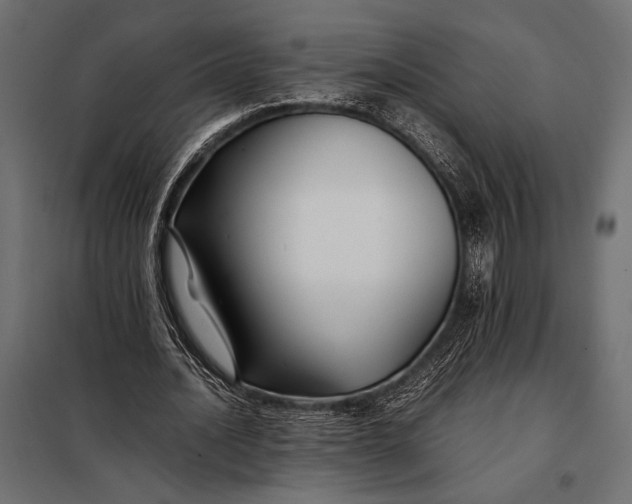 X0000098080628200804251514