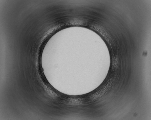 X0000098080629200804251514