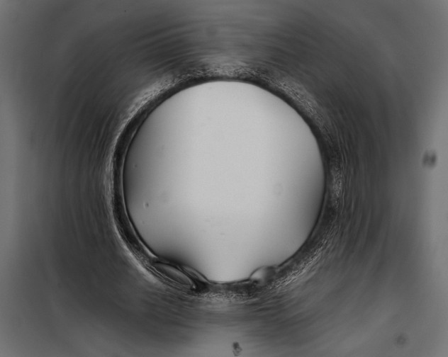 X0000098080630200804251514