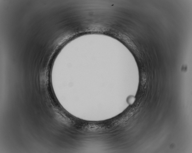 X0000098080632200804251514