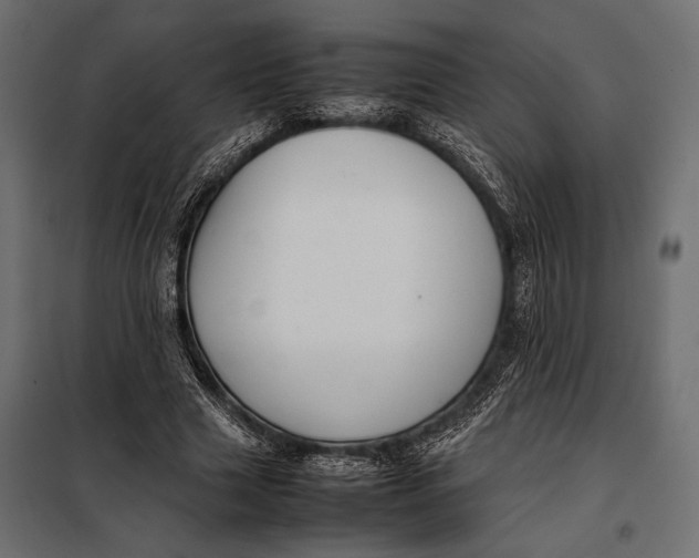 X0000098080633200804251514