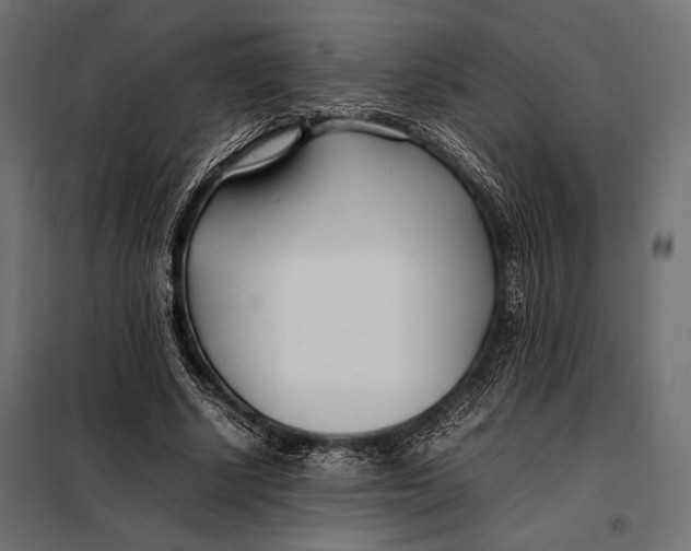 X0000098080634200804251514