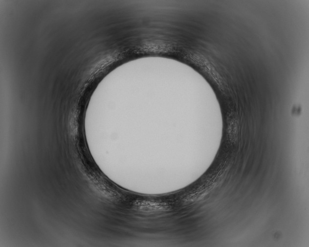 X0000098080635200804251514