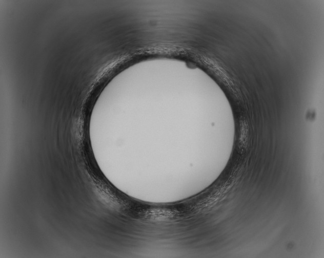 X0000098080636200804251514