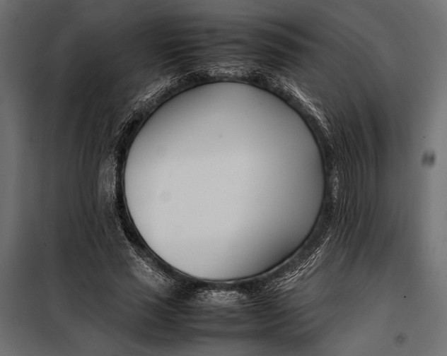 X0000098080637200804251514