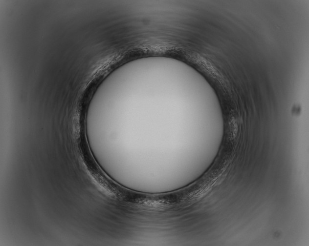 X0000098080638200804251514