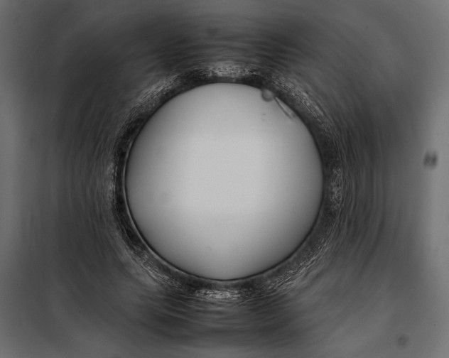 X0000098080639200804251514