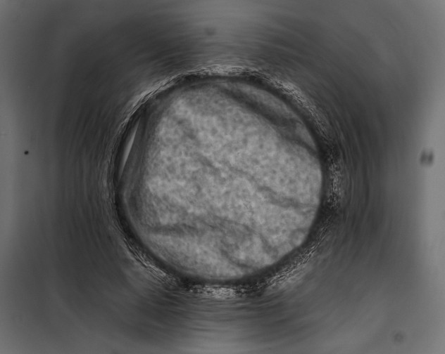 X0000098080640200804251514