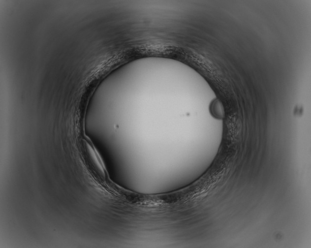 X0000098080642200804251514