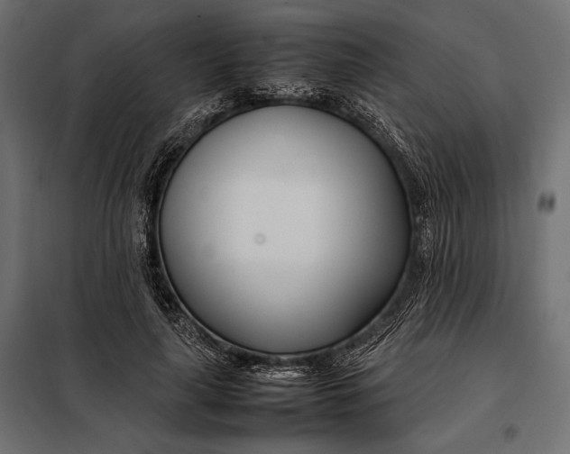 X0000098080643200804251514