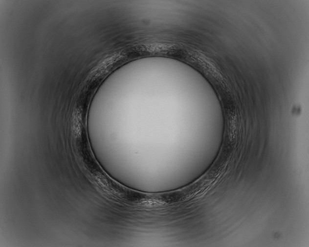 X0000098080644200804251514