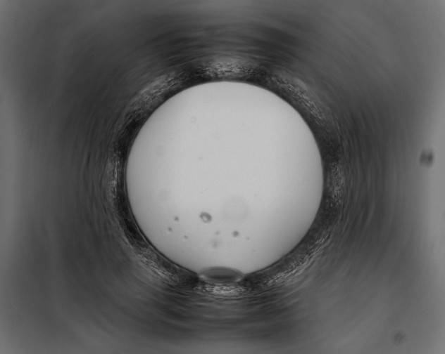 X0000098080645200804251514