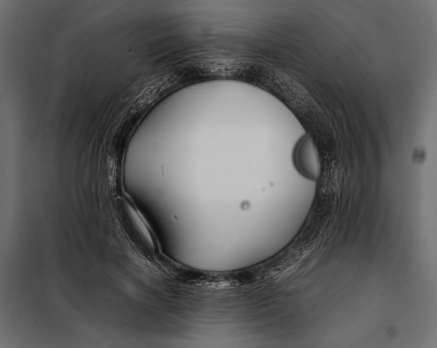 X0000098080646200804251514