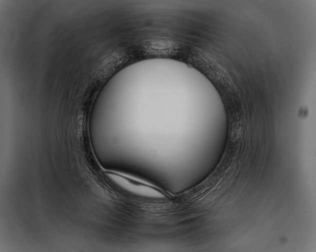 X0000098080647200804251514