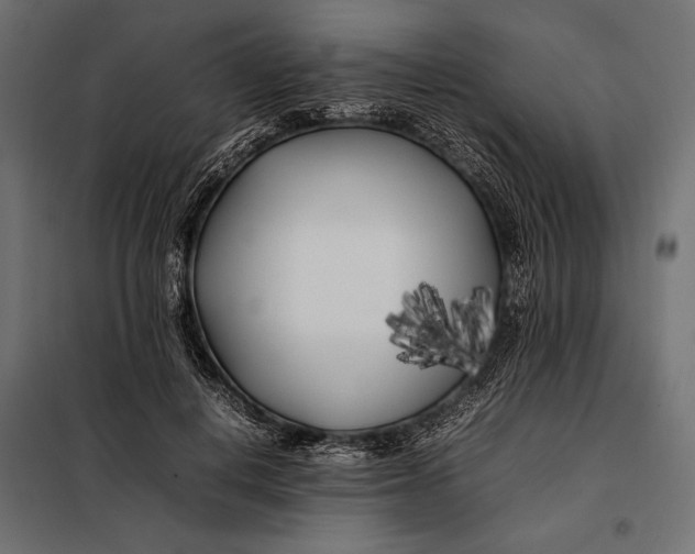 X0000098080648200804251514