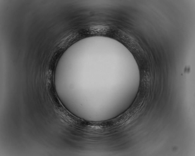 X0000098080649200804251514