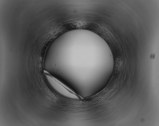 X0000098080650200804251514