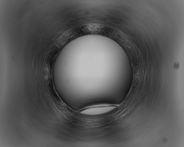 X0000098080651200804251514