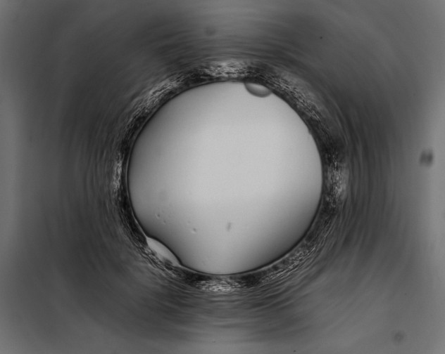 X0000098080652200804251514