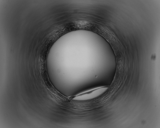 X0000098080653200804251514