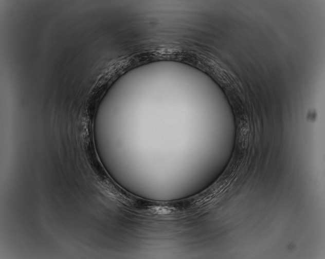 X0000098080654200804251514