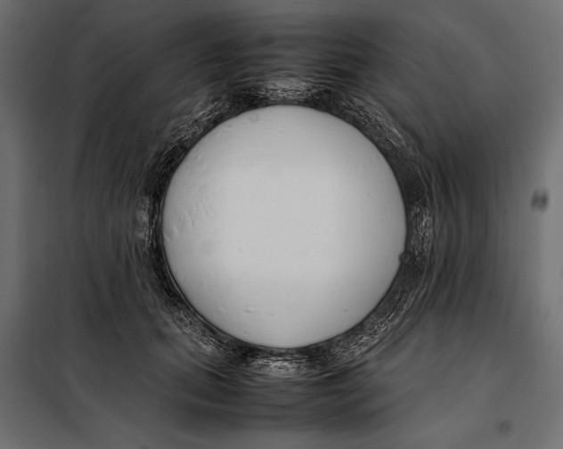 X0000098080655200804251514