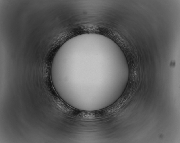 X0000098080658200804251514