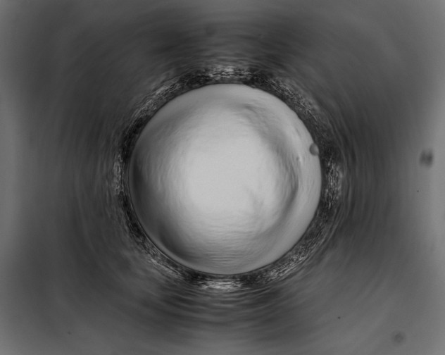 X0000098080659200804251514