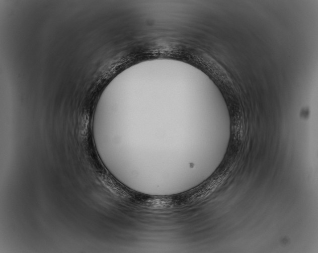 X0000098080660200804251514