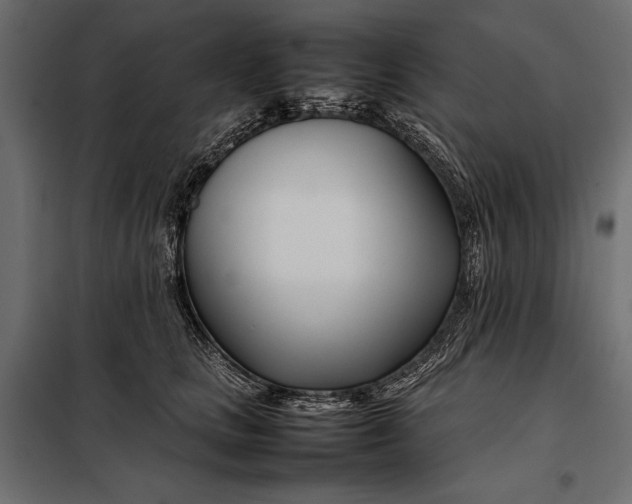 X0000098080661200804251514